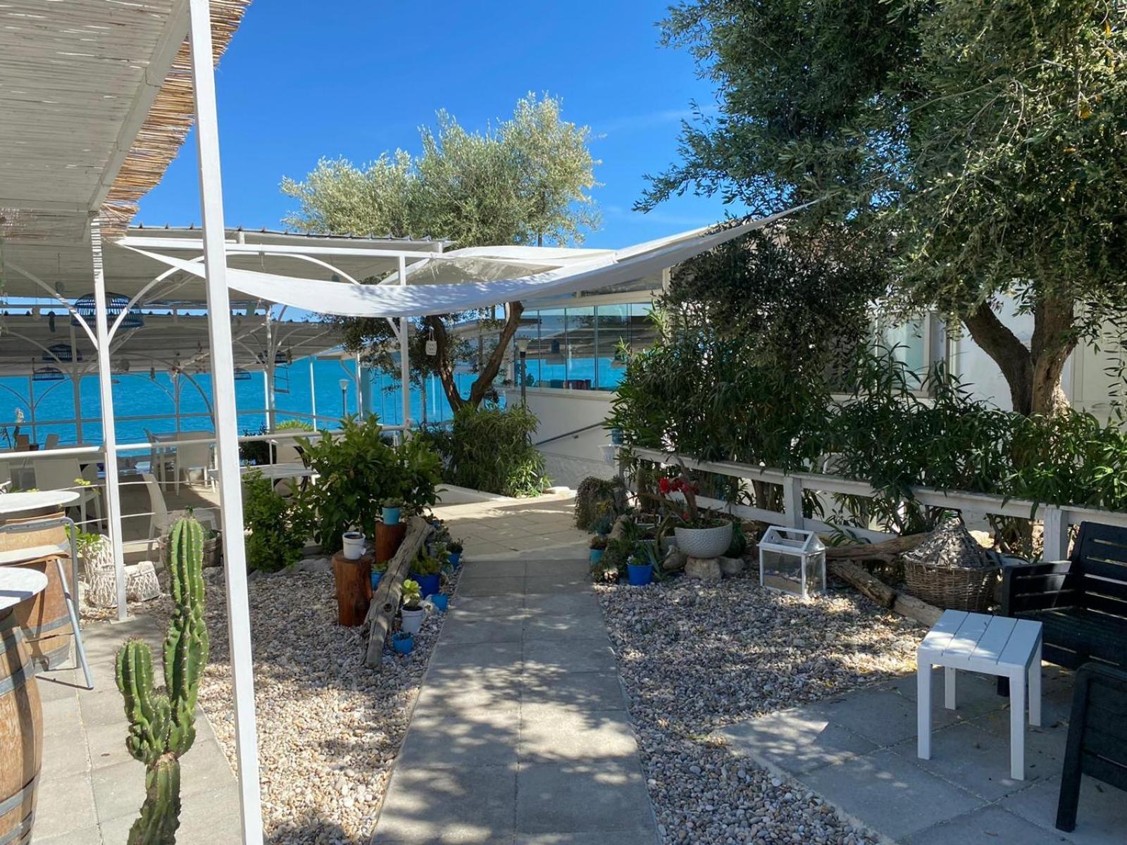 B&B Direttamente Sul Mare Da Antonino Mattinata Exterior foto
