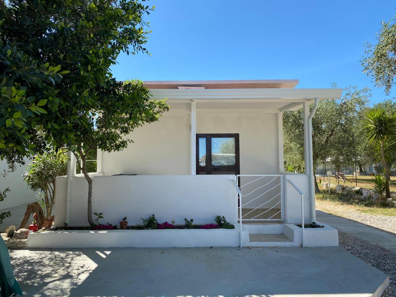 B&B Direttamente Sul Mare Da Antonino Mattinata Exterior foto